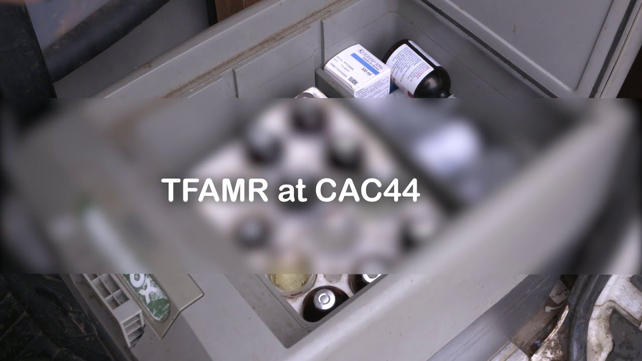 No time to wait - the work of the ad hoc Task Force for Antimicrobial Resistance