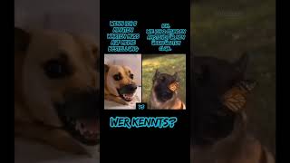 ich bin eigentlich ganz lieb. 🤣🥳 #memes #fd #funny #abonnenten #techno #Hunde #meme #edit #german