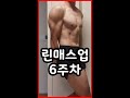 헬린이의 보디빌딩 규정포즈, 린매스업 6주차 #shorts