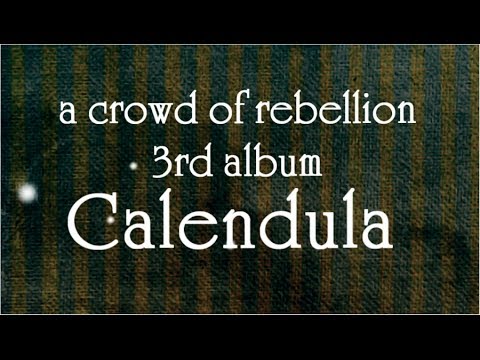 a crowd of rebellion - 3rd album 「Calendula」 short trailer