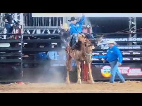 CARNEIRINHO MG RODEIO EM CUTIANO 2026