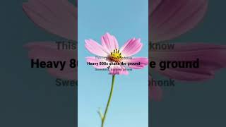 Download lagu Lagu Cute Girl Vibes oleh Joangs🤍 #@Emmalea_lyrics #shorts #lyrics #lyricvideo mp3