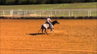 SOLD, TX~Texas Remedy 2004 Reining horse stallion and much more!