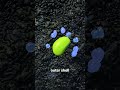 How A Seed Grows Into A Plant 😯