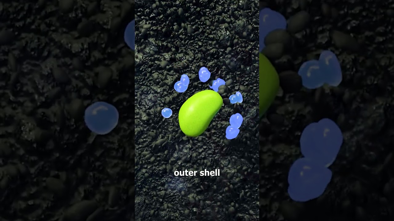 How A Seed Grows Into A Plant 😯