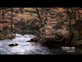 Piano Instrumental Relaxing - Eyes On Me 