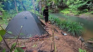 Download lagu Camping and fishing at a new spot in the middle of the Kalimantan forest, harvesting eels mp3
