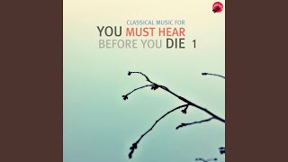 Ballade No.1 In G minor Op.23 - Largo (Part.1)