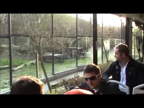 Máme rádi zvířata