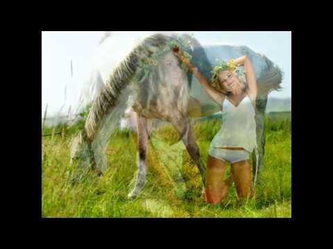 Der Traum Vom Glück - MusikApostel