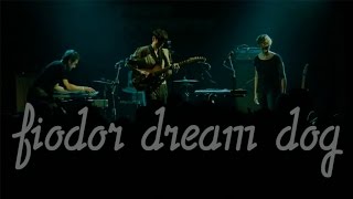 Fiodor Dream Dog & The Shiners - Live au Point Éphémère