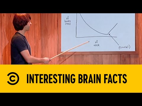 Interesting Brain Facts | Important Things With Demitri Martin | Comedy Central Africa