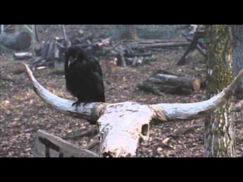 Jianu feat Ra'-Necessitatem