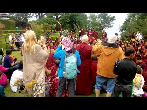 Lama is praying with the monks