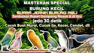 Download lagu MASTERAN TERBARU TEMBAKAN BURUNG KECIL | VIDEO BURUNG ASLI‼️ KENARI, SOGON, LOVEBIRD, CIBLEK, DLL mp3