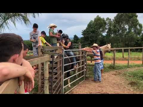 Podemos tomar pancadas mas nao podemos desistir jamais#NEVER GIVE UP🍀🐂🐮👊🏻💪🏻💪🏼👊🏿