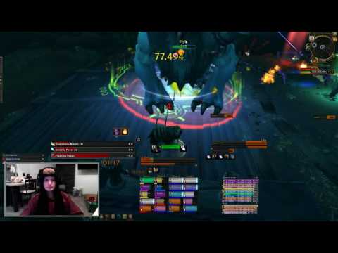 Mythic Guarm - Pie Chart - Solo Bear Tank PoV
