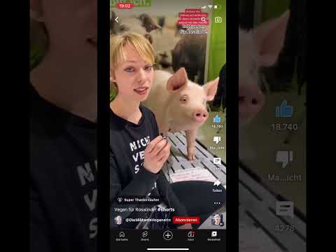 Mmm coole raseschwimbe lecker Schoko Zitrone