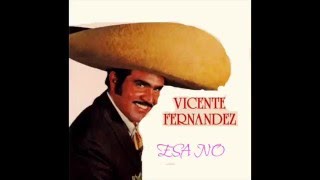 VICENTE FERNANDEZ  -   ESA NO