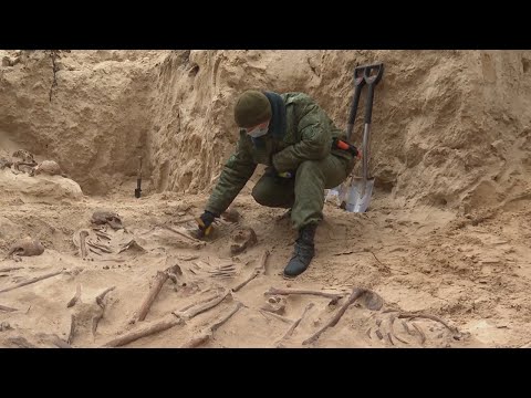 Анфас 11.12.2021