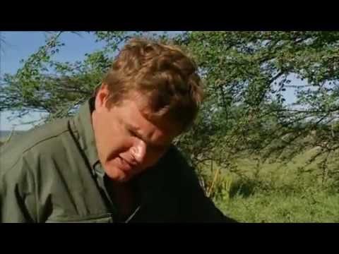 *RAY MEARS* AFRICA SAFARI (FULL EPISODE)