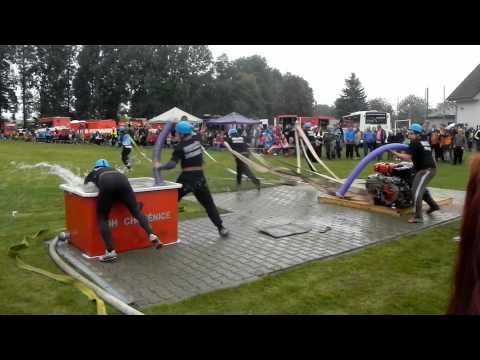 SDH Svídnice sezóna 2014