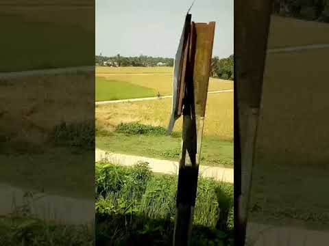 khamushya #short #indianshortsvideo