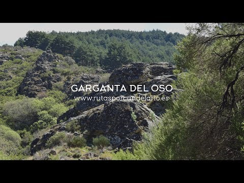 R04 Garganta del Oso - Rutas por Candelario (Castellano)