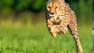 Philip Michael - Free To Be ft. Akon