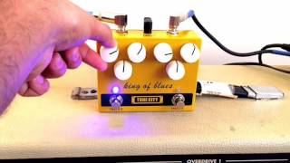 Video thumbnail for Tone City King of Blues demo (w Humbuckers) by Aaron J Livecchi