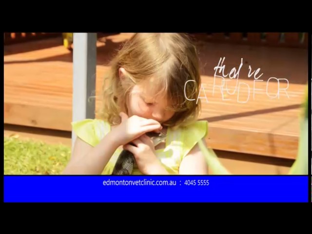 Edmonton Vet Clinic & Cattery - Bentley Park, QLD