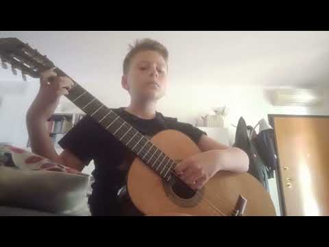 FIESTA GITANA c.hartog