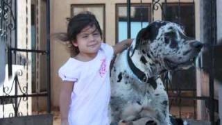 AW#44 BOOMER &amp; ANNA  8-2-10 (IF I COULD TALK TO GOD) (alice peacock)