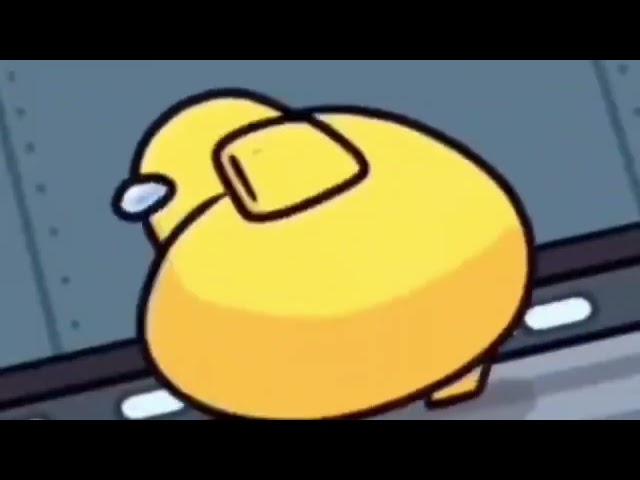 Judge.me YouTube video placeholder