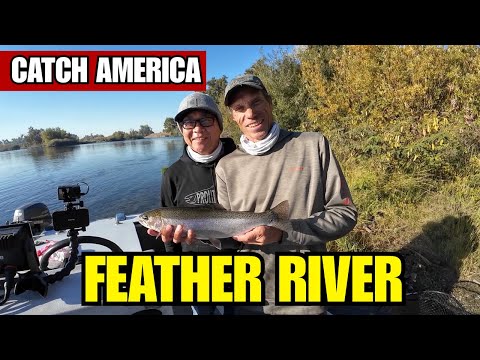 Feather River Fishing Report | October 2025 video