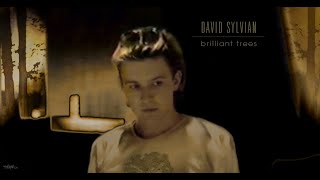 DAVID SYLVIAN - Brilliant Trees (new vocal) 2000