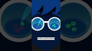 Australia has legalised the medical use of psychedelics - so how do they work?
