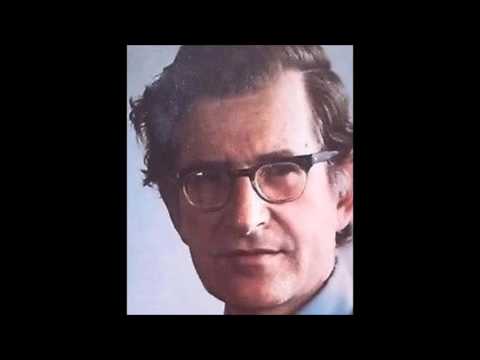 Noam Chomsky - Mind-body Problem II