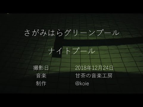 プールでの越冬：プールを大切にするために知っておくべきことすべて！  庭園