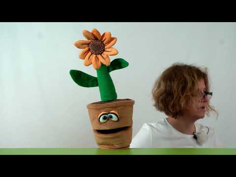 Sonne, Liebe und Spucke