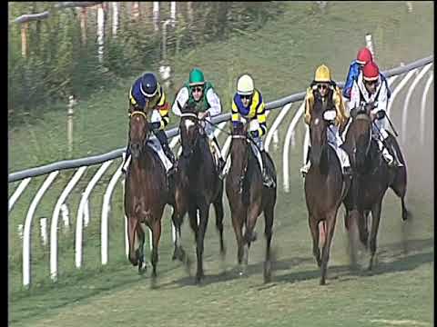 Galoppo 30/08/2017 - 2ª corsa