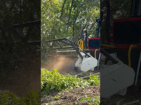 Удаление пней и корней. Расчистка с заглублением 89261385927 #мульчер #ротоватор #nbtlp #мтз