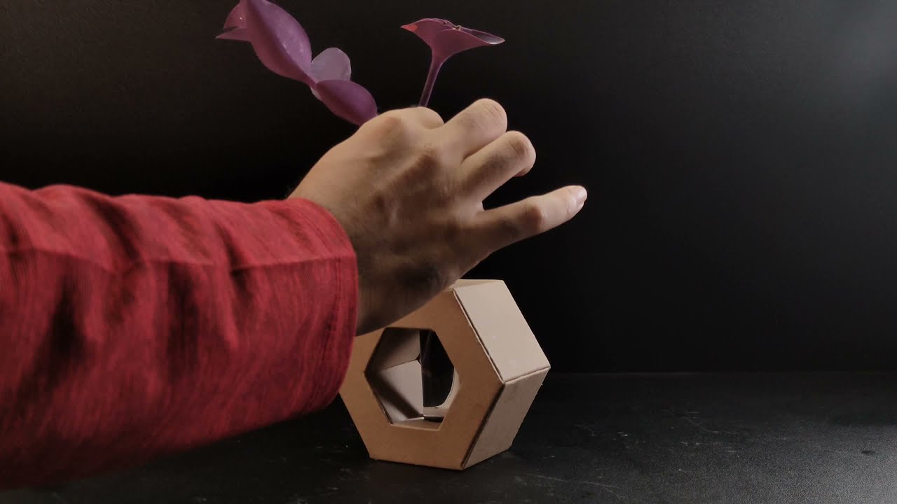 Vase Video Walkthrough