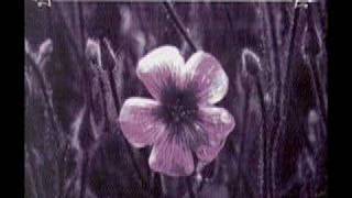 Mine Eyes - Switchblade Symphony