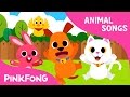 Baby Animals Animal Songs Pinkfong Songs For Children