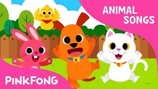 Baby Animals | Animal Songs | Pinkfong Songs for Children