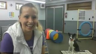Virtual Pet Visit: Trainer Talk and Tricks