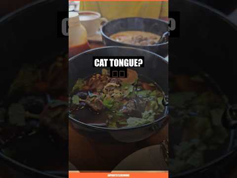 Japanese Has a Word for People Who Can't Handle Hot Food 🐱👅