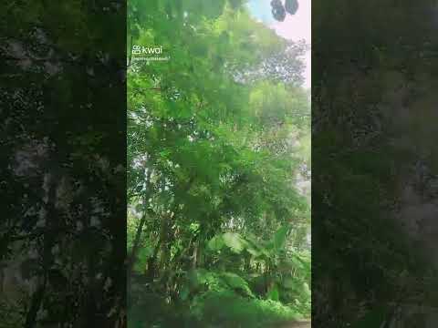 PAISAGEM, DO VALE DO RIBEIRO SAO PAULO MIRACATU, #dicasdemodaeestilo #modaalfaiataria .