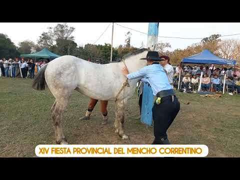 Jineteada XIV Fiesta Provincial del Mencho Correntino - Palmar Grande